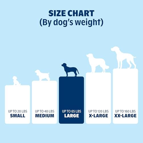 BarkBox Orthopedic Dog Bed - Large