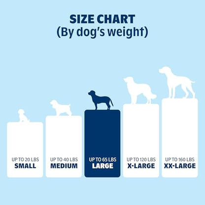 BarkBox Orthopedic Dog Bed - Large