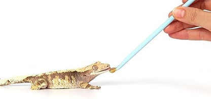 2Pcs Blue Reptile Feeding Spoon, Crested Gecko Food Mixing Stirrer