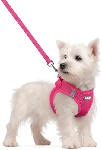 rabbitgoo Dog Harness Small Sized and Leash Set, Step-in Puppy Pet Vest
