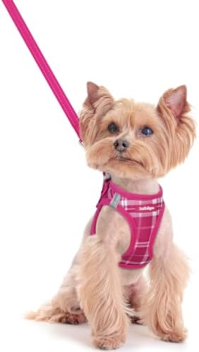 rabbitgoo Dog Harness Small Sized and Leash Set, Step-in Puppy Pet Vest