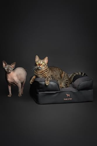 NOAH & PAW Small Dog Bed, 20x15x8 Inch, Cat Bed for Indoor Cats, Orthopedic Eggshell Memory Foam Infused with Cooling Gel, Water Resistant Inner Cover Machine Washable (Faux Leather)
