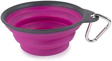 Dexas Pets Collapsible Travel Cup, Large/2 Cup Capacity, Fuchsia