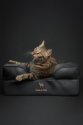 NOAH & PAW Small Dog Bed, 20x15x8 Inch, Cat Bed for Indoor Cats, Orthopedic Eggshell Memory Foam Infused with Cooling Gel, Water Resistant Inner Cover Machine Washable (Faux Leather)