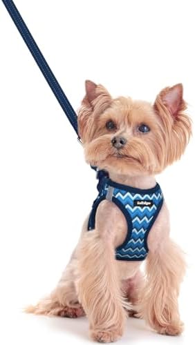rabbitgoo Dog Harness Small Sized and Leash Set, Step-in Puppy Pet Vest