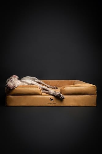 NOAH & PAW XL Dog Bed, 45x35x11 Inch, Orthopedic Large Dog Beds, Eggshell Memory Foam Infused with Cooling Gel, Inner Cover, Water Resistant, Machine Washable (Faux Leather)