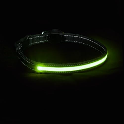 Sherry Kline LED Light-Up Pet Collar - USB Rechargeable - Flashing Glow in The Dark Size Large, Color: Green