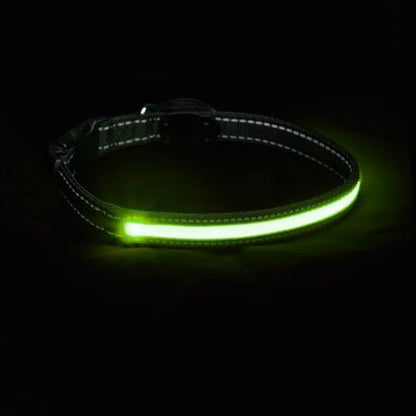 Sherry Kline LED Light-Up Pet Collar - USB Rechargeable - Flashing Glow in The Dark Size Large, Color: Green