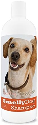 Healthy Breeds Chiweenie Smelly Dog Baking Soda Shampoo 8 oz