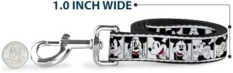 Disney Dog Leash