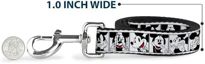 Disney Dog Leash