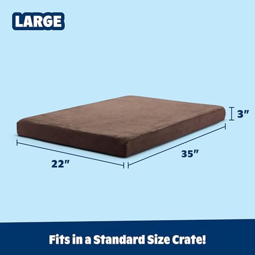 BarkBox Orthopedic Dog Bed - Large