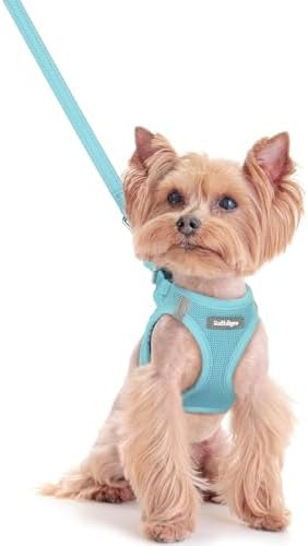 rabbitgoo Dog Harness Small Sized and Leash Set, Step-in Puppy Pet Vest