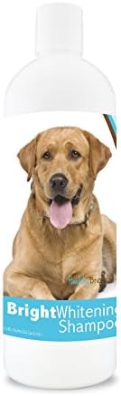 Healthy Breeds Labrador Retriever Bright Whitening Shampoo 12 oz
