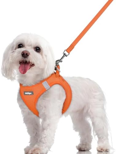 rabbitgoo Dog Harness Medium Sized and Leash Set, Step-in Puppy Pet Vest