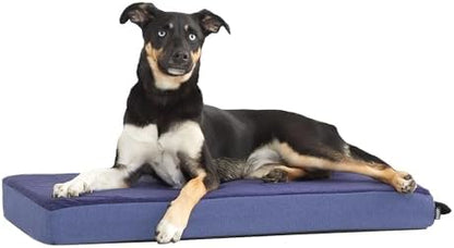 BarkBox Orthopedic Dog Bed - Medium