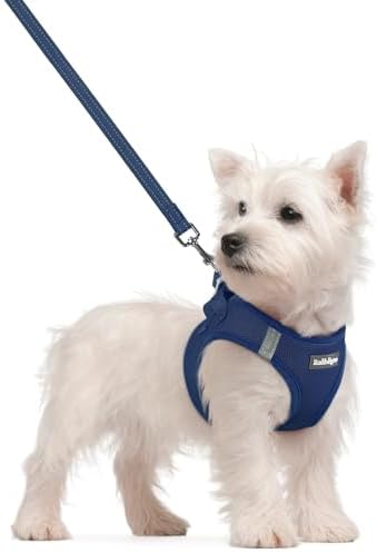 rabbitgoo Dog Harness Small Sized and Leash Set, Step-in Puppy Pet Vest