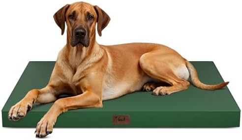 Jumbo Waterproof Orthopedic Dog Bed for Extra Large Dogs