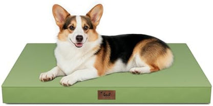 Outdoor Waterproof Orthopedic Dog Bed for Large Dogs