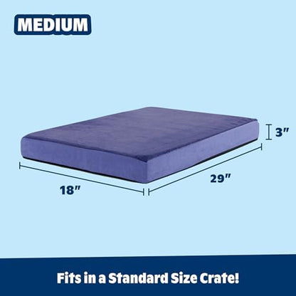 BarkBox Orthopedic Dog Bed - Medium