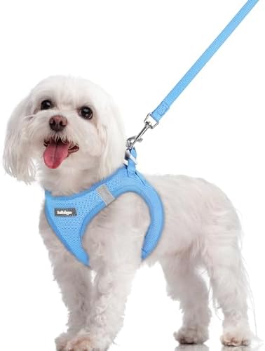 rabbitgoo Dog Harness Medium Sized and Leash Set, Step-in Puppy Pet Vest