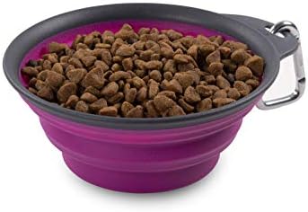 Dexas Pets Collapsible Travel Cup, Large/2 Cup Capacity, Fuchsia