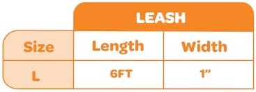 Best Pet Supplies Voyager Nylon Dog Leash - 6ft Baby Blue, Large