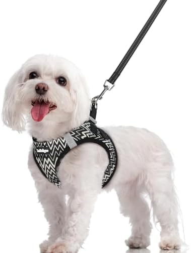 rabbitgoo Dog Harness Medium Sized and Leash Set, Step-in Puppy Pet Vest