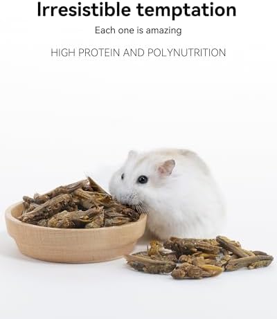 Niteangel Small Animal Snack & Treats: Freeze-Dried Grasshopper & No Add