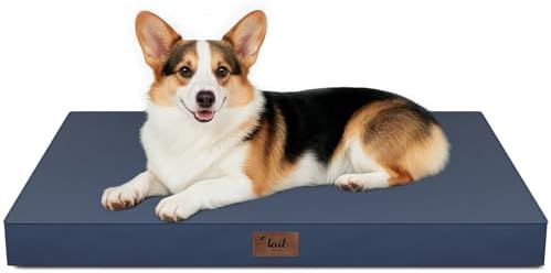 Outdoor Waterproof Orthopedic Dog Bed for Large Dogs