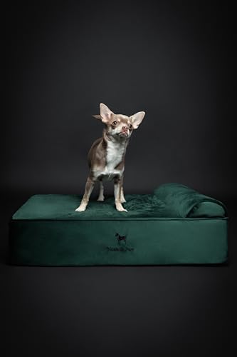 NOAH & PAW Dog Bed, 28x23x7.5 Inch, Orthopedic Dog Beds for Medium Size Pets, Eggshell Memory Foam Infused with Cooling Gel, Water Resistant, Machine Washable, Includes Inner Cover (Velvet Collection)