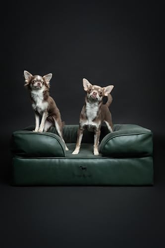 NOAH & PAW Dog Bed, 28x23x11 Inch, Orthopedic Dog Beds for Medium Size Pets, Eggshell Memory Foam Infused with Cooling Gel, Inner Cover, Water Resistant, Machine Washable Faux Leather