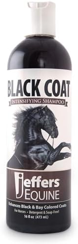 Jeffers Equine Black Coat Shampoo for Horses, 16 oz – Enhances Black & Bay Coats, Concentrated Soap & Detergent Free Formula, Coconut Based with Aloe & Vitamin E, Horse Grooming & Show Prep, USA Made