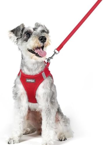 rabbitgoo Dog Harness Medium Sized and Leash Set, Step-in Puppy Pet Vest