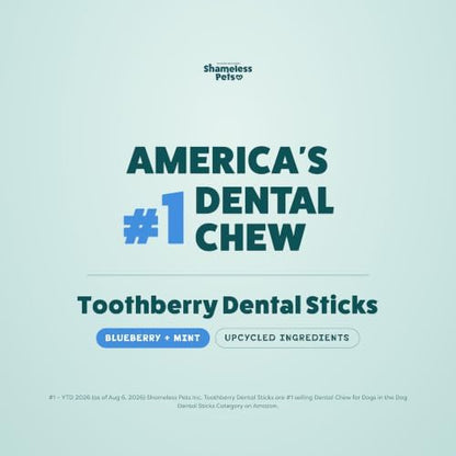 Shameless Pets Blueberry & Mint Dental Chews for Dogs, 32 Chews