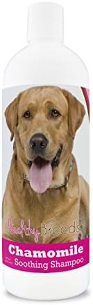 Healthy Breeds Labrador Retriever Chamomile Soothing Dog Shampoo 8 oz