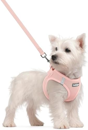 rabbitgoo Dog Harness Small Sized and Leash Set, Step-in Puppy Pet Vest