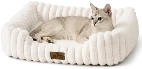 COZY KISS Orthopedic Pet Bed for Small Cats, 20"x18"x6", Cream