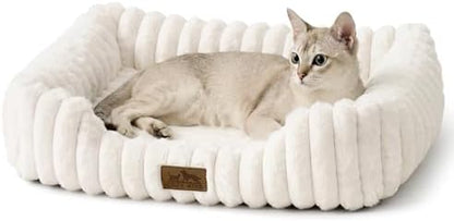 COZY KISS Orthopedic Pet Bed for Small Cats, 20"x18"x6", Cream