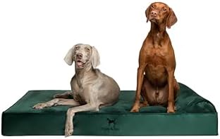 NOAH & PAW Giant Dog Bed XXL 55x45x9.5 Inch, Orthopedic Dog Beds, Eggshell Memory Foam Infused with Cooling Gel, Water Resistant, Machine Washable, Includes Inner Cover (Velvet Collection)