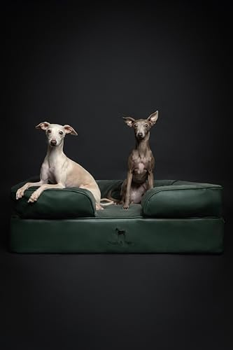 NOAH & PAW Large Dog Bed, 35x25x11 Inch, Orthopedic Dog Beds, Eggshell Memory Foam Infused with Cooling Gel, Inner Cover, Water Resistant, Machine Washable (Faux Leather)