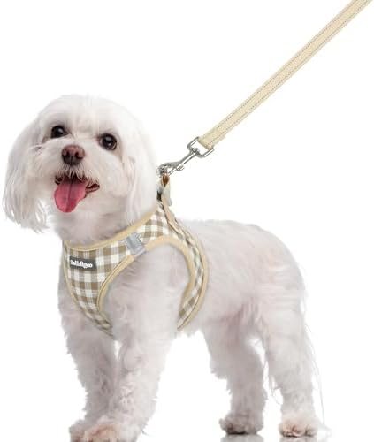 rabbitgoo Dog Harness Medium Sized and Leash Set, Step-in Puppy Pet Vest