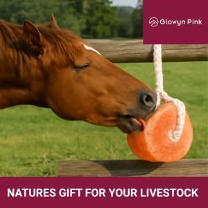 Glowyn Himalayan Salt Lick-Natural Minerals Block on Rope - 4.0 lbs. (6 Packs) - Great for Horses, Cattle, and Live Stock– Long Lasting – Pink Salt Lick
