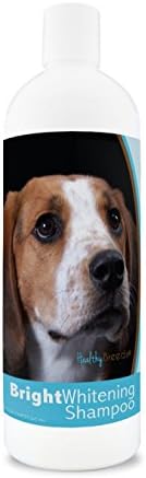 Healthy Breeds American English Coonhound Bright Whitening Shampoo - pH Balanced - Enhance Color & Shine While Moisturizing & Conditioning - Pina Colada Scent - 12 oz