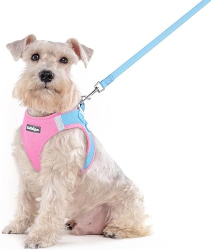 rabbitgoo Dog Harness Medium Sized and Leash Set, Step-in Puppy Pet Vest