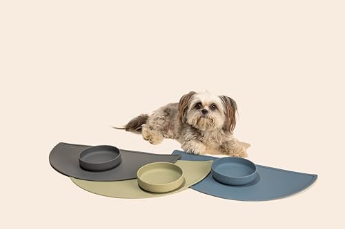 The Perfect Dish - Silicone Dog Bowl for Food & Water, 6" x 1.25"-Spruce