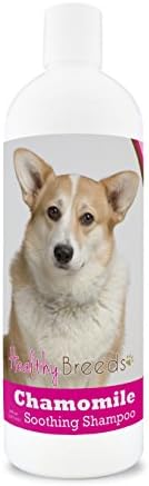 Healthy Breeds Cardigan Welsh Corgi Chamomile Soothing Dog Shampoo 8 oz