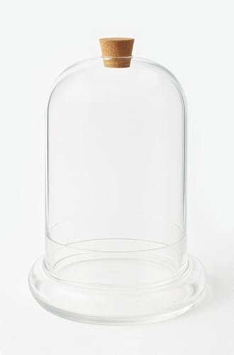 Handblown 10" Glass Terrarium with Opening for Air Flow & Cork Stopper Cloche Style Glass Dome Vivarium Display Case (Large)