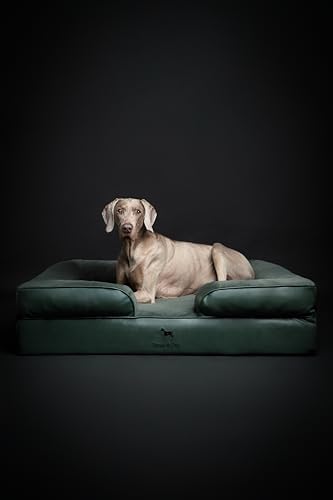 NOAH & PAW XL Dog Bed, 45x35x11 Inch, Orthopedic Large Dog Beds, Eggshell Memory Foam Infused with Cooling Gel, Inner Cover, Water Resistant, Machine Washable (Faux Leather)