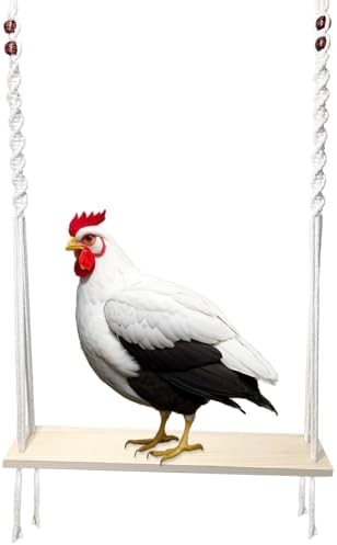 Chicken Swing Toy for Large Chicken Coop Accessories